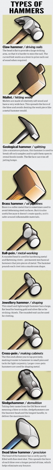 interestingfacts2_088