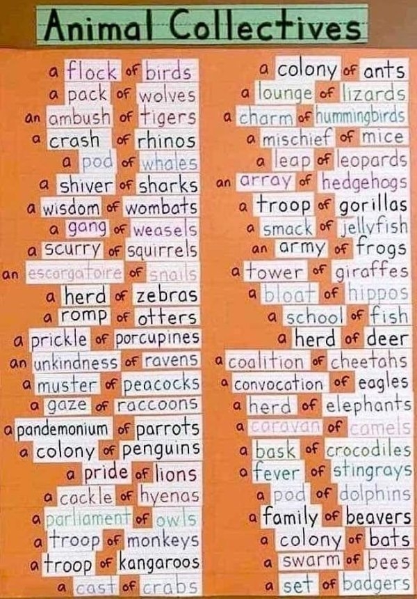 interestingfacts2_093