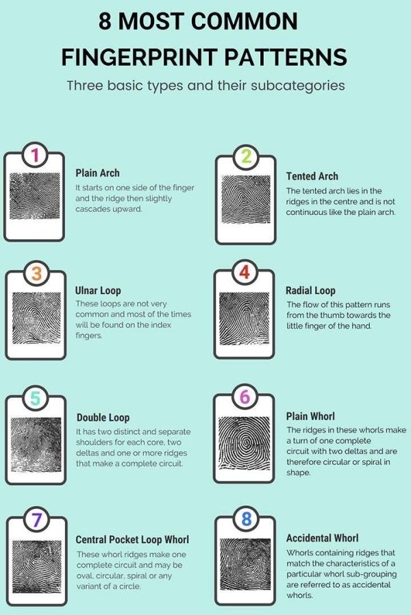 interestingfacts2_095