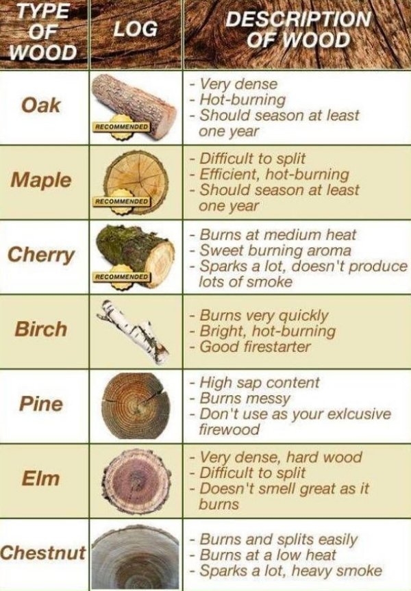 interestingfacts2_100