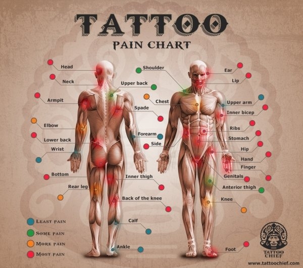 interestingfacts2_103