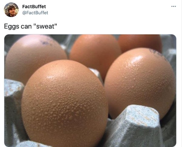 interestingfacts3_006