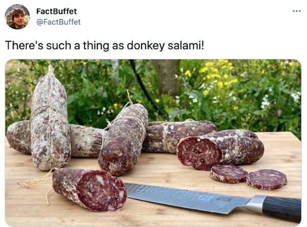 interestingfacts3_009