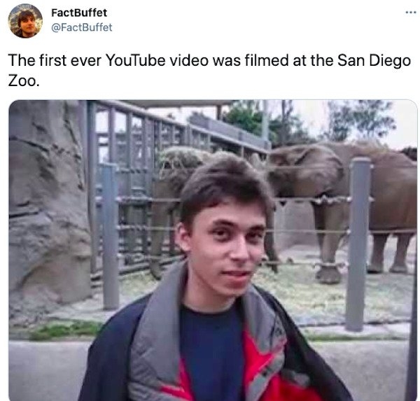 interestingfacts3_014