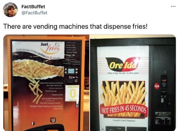 interestingfacts3_018