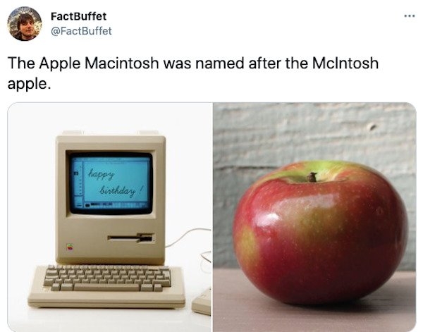 interestingfacts3_028