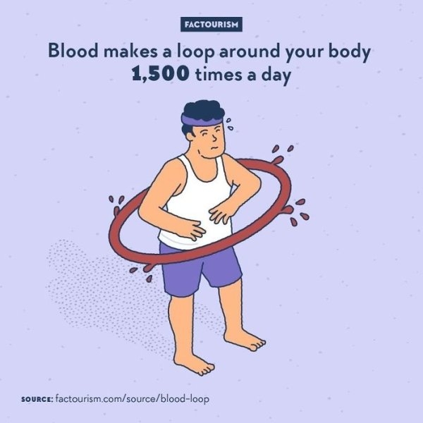 interestingfacts4_003