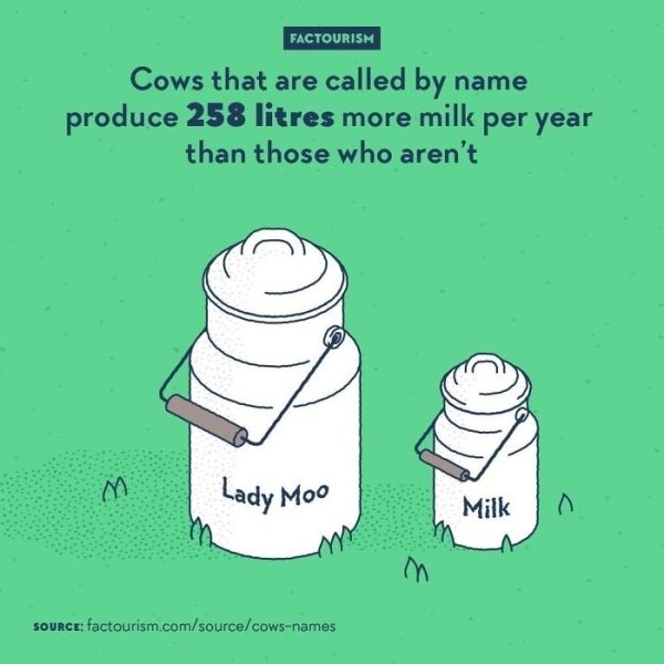 interestingfacts4_004