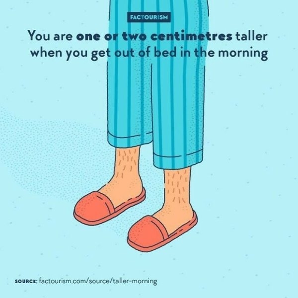 interestingfacts4_007