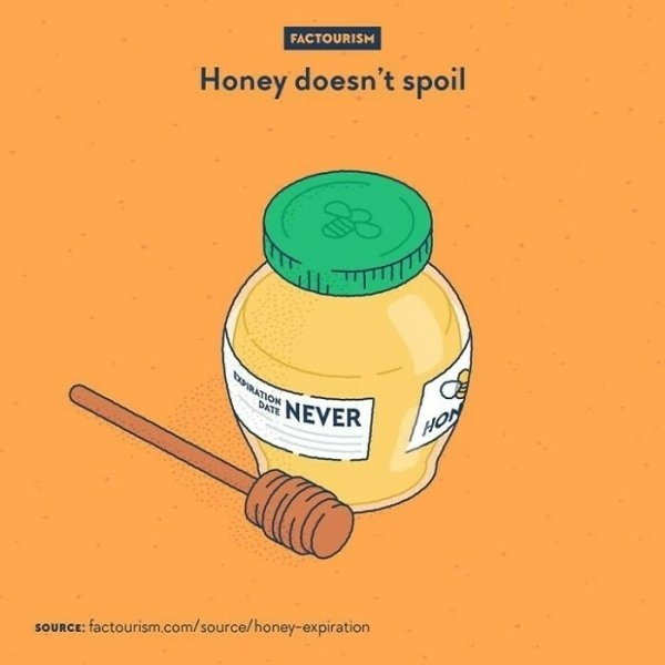 interestingfacts4_009