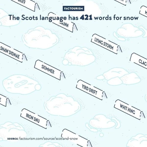 interestingfacts4_011