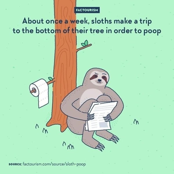 interestingfacts4_021