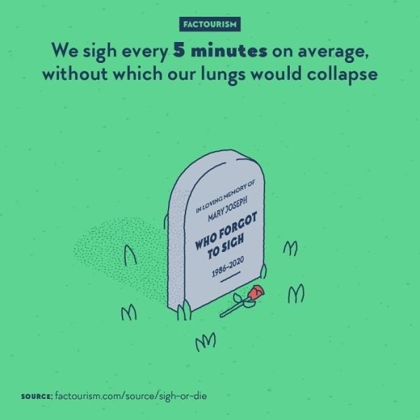 interestingfacts4_029