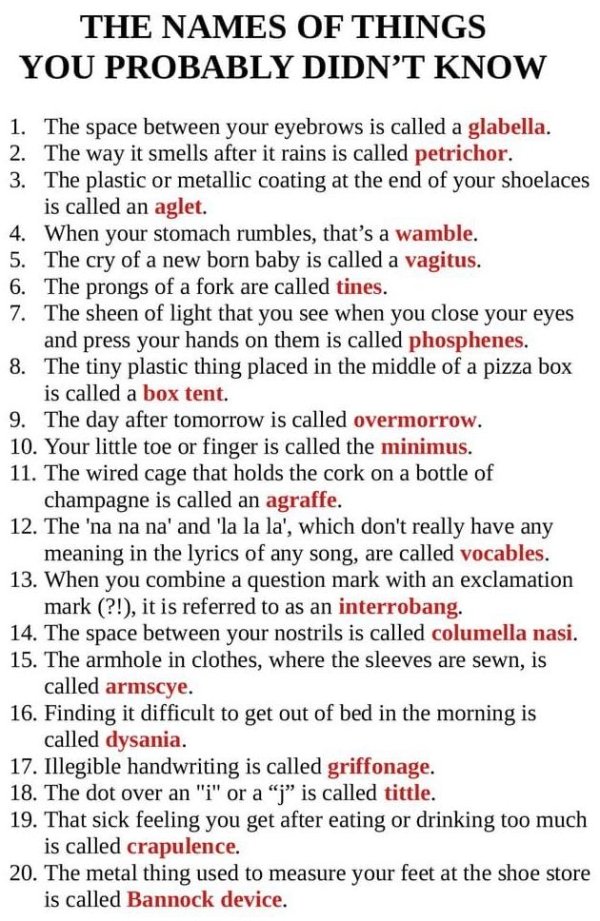 interestingfacts5_002