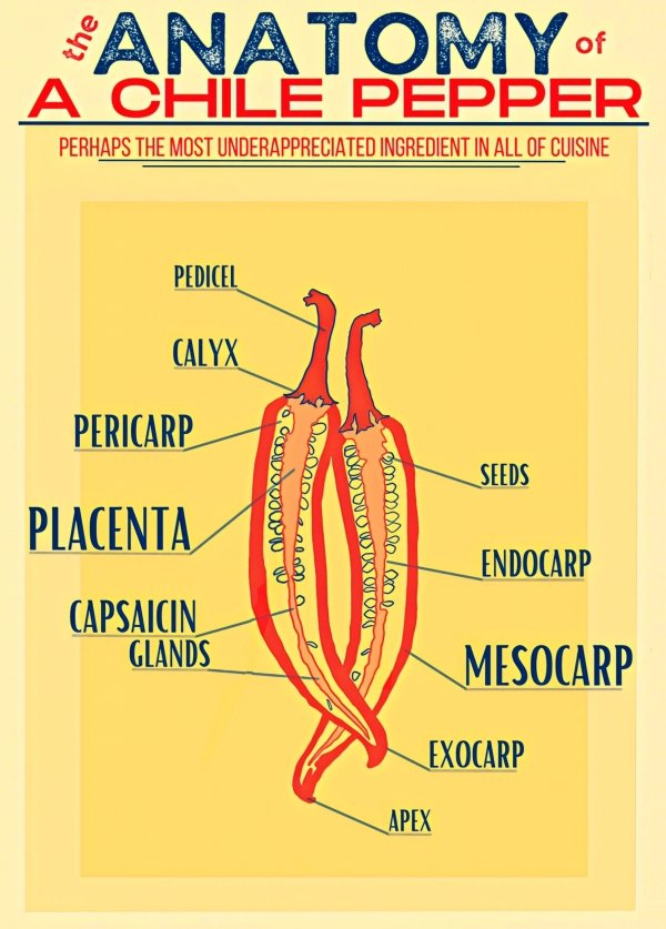interestingfacts5_005
