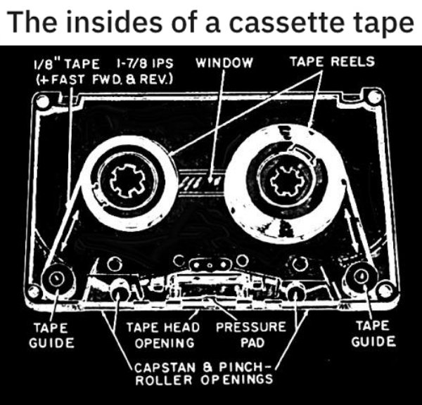 interestingfacts5_006