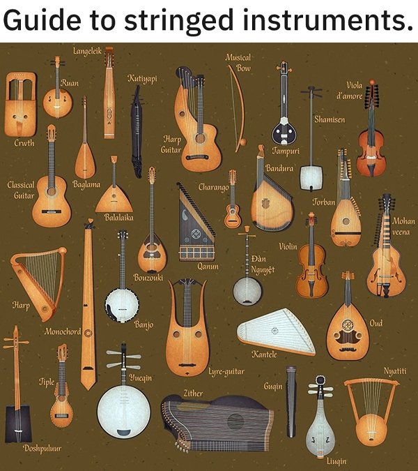 interestingfacts5_024