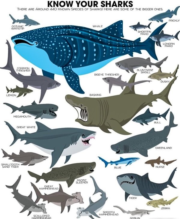 interestingfacts5_027