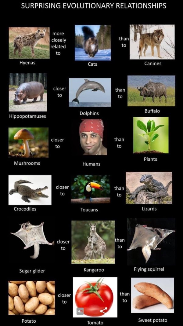 interestingfacts5_037