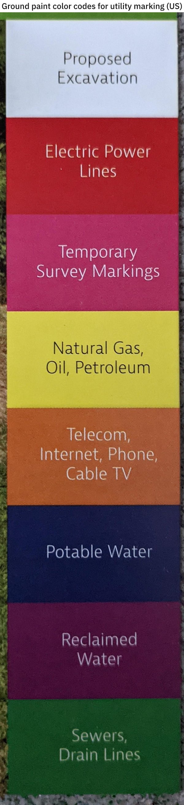 interestingfacts5_039