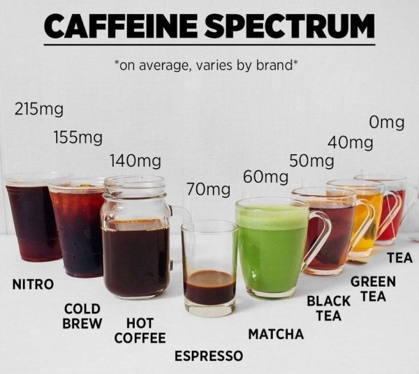 interestingfacts5_041