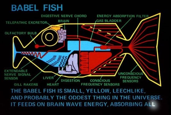 interestingfacts5_045