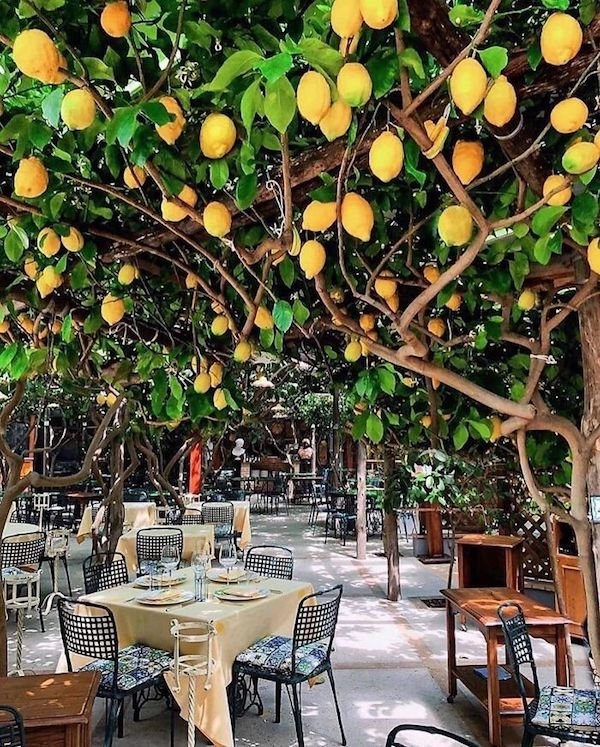 interiordesigns2_009