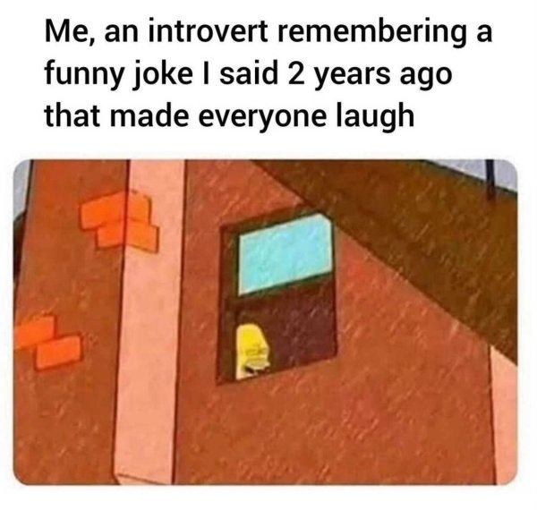 introvertmemes_014
