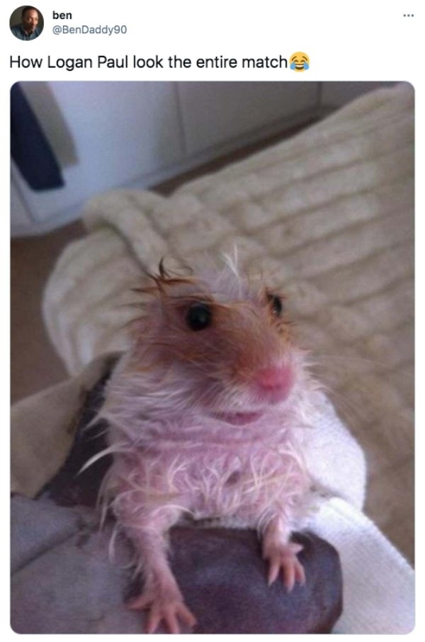 loganpaulmayweatherfight_001