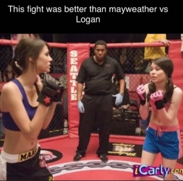 loganpaulmayweatherfight_016