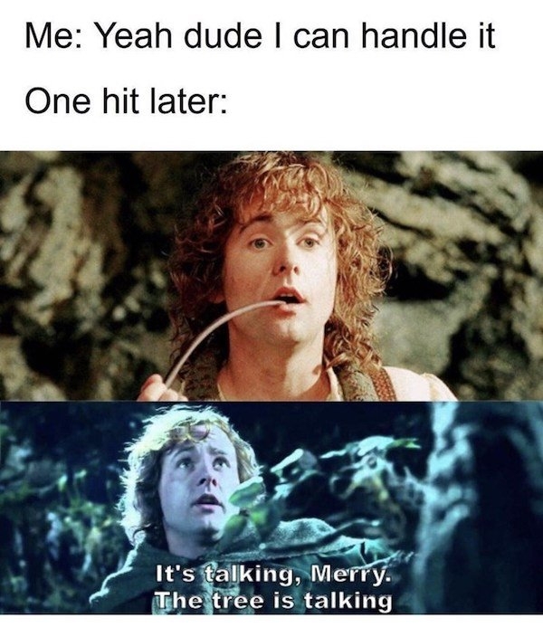 lotrmemes_020