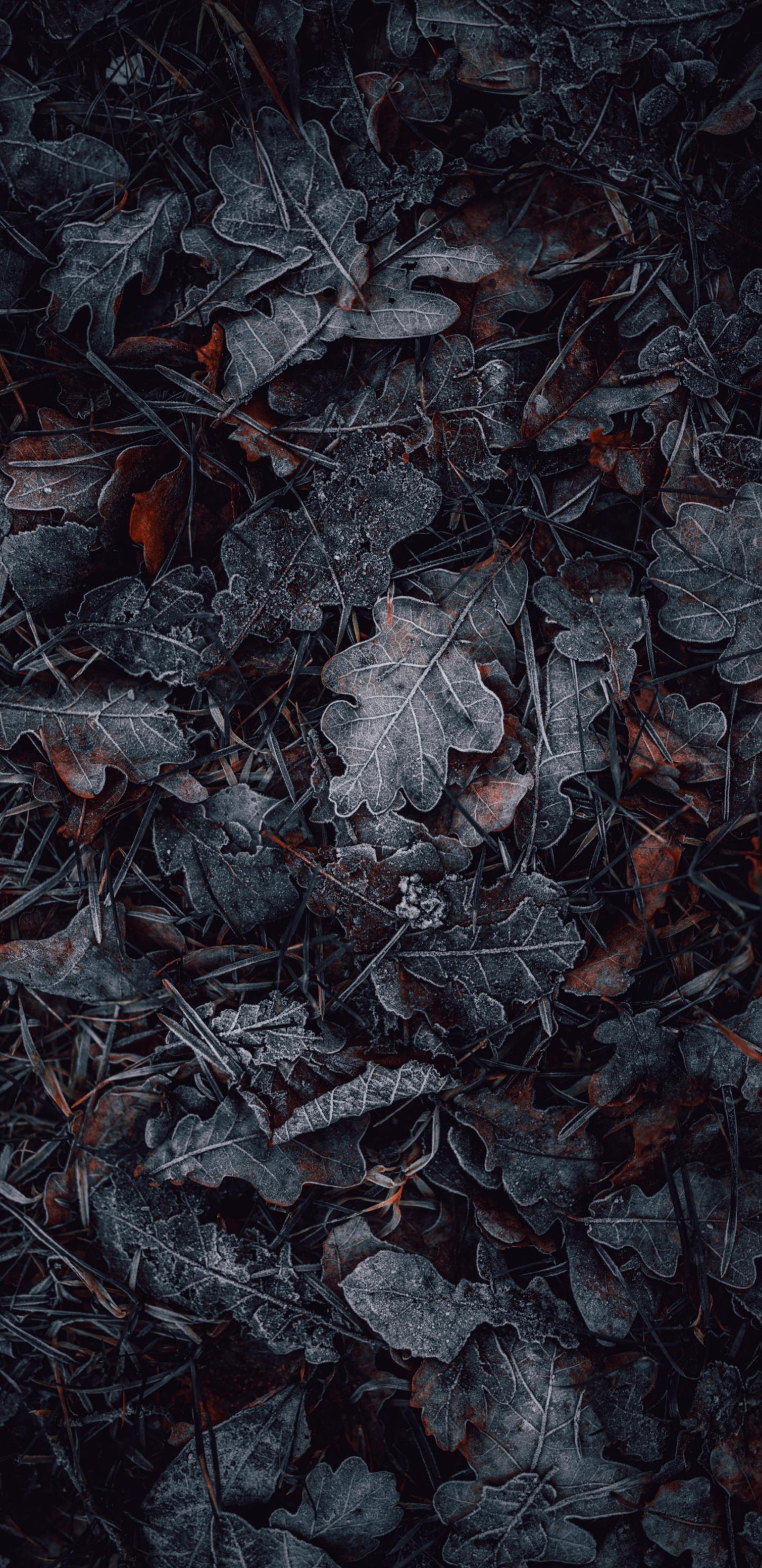 mobilewallpapers_034