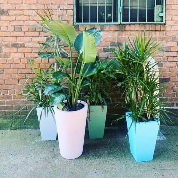 newyorkstreettreasure_031