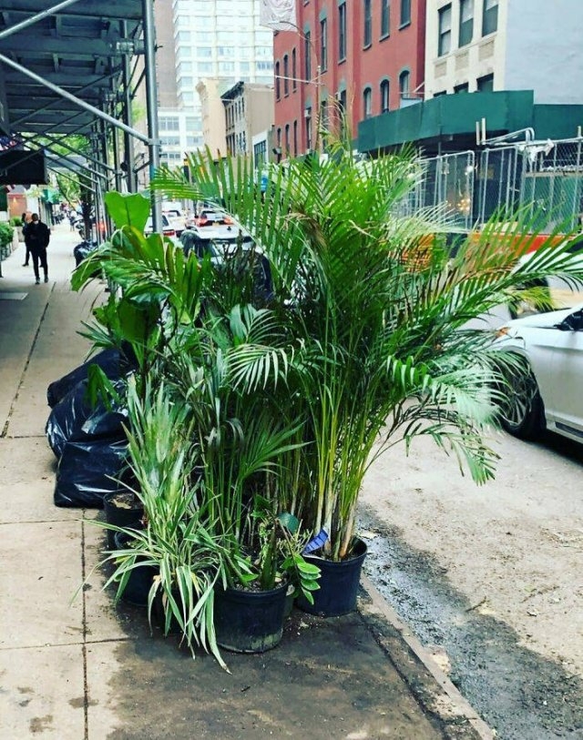 newyorkstreettreasure_033