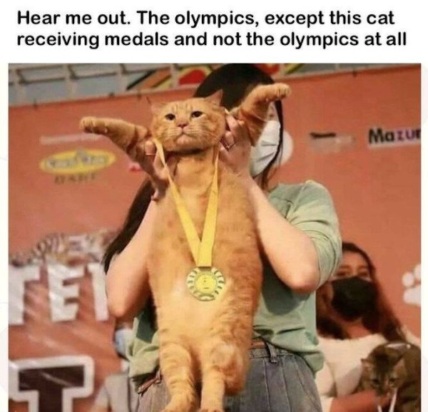 olympicmemes_023