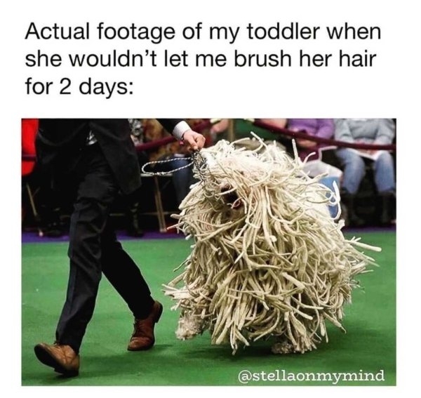 parentingmemes_025