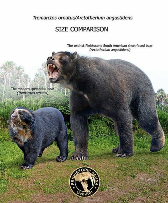 prehistoricsizecomparison_001