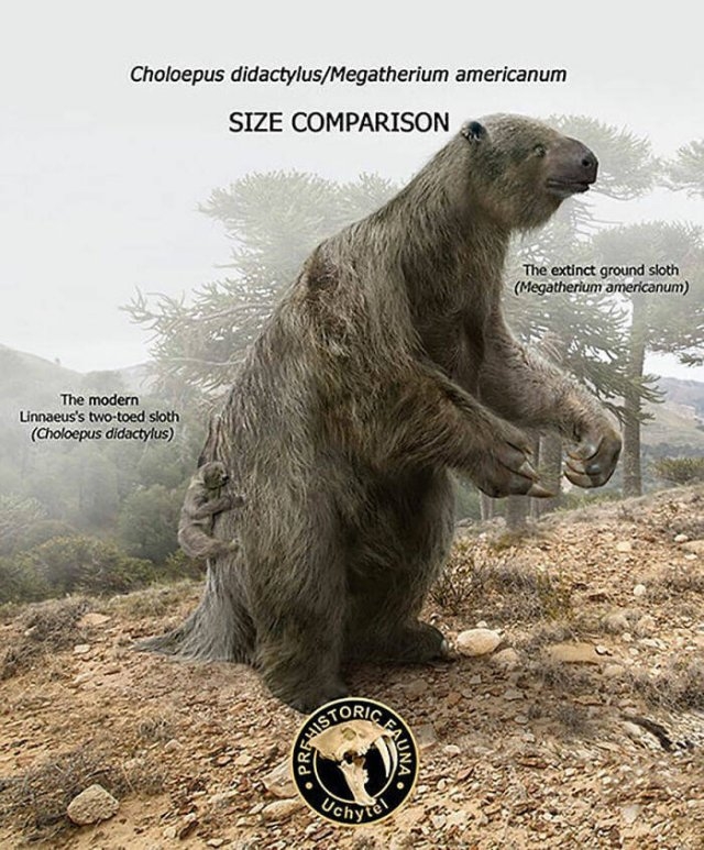 prehistoricsizecomparison_004