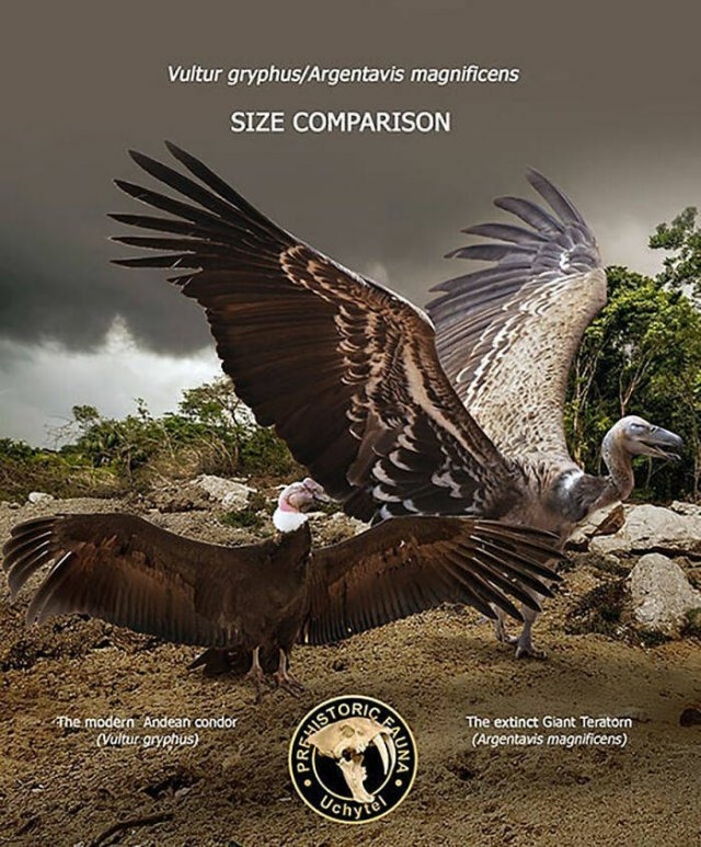 prehistoricsizecomparison_005