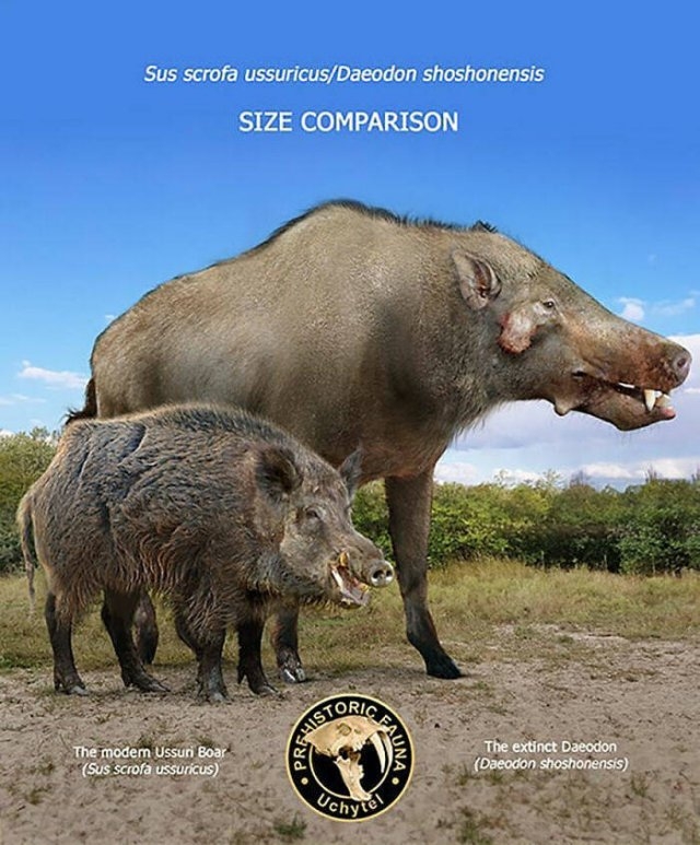 prehistoricsizecomparison_006