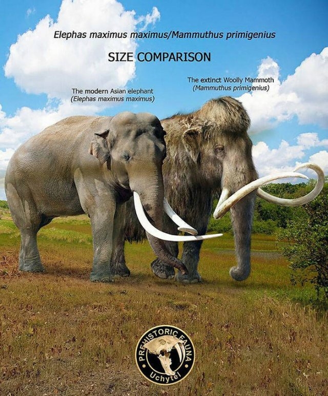 prehistoricsizecomparison_007