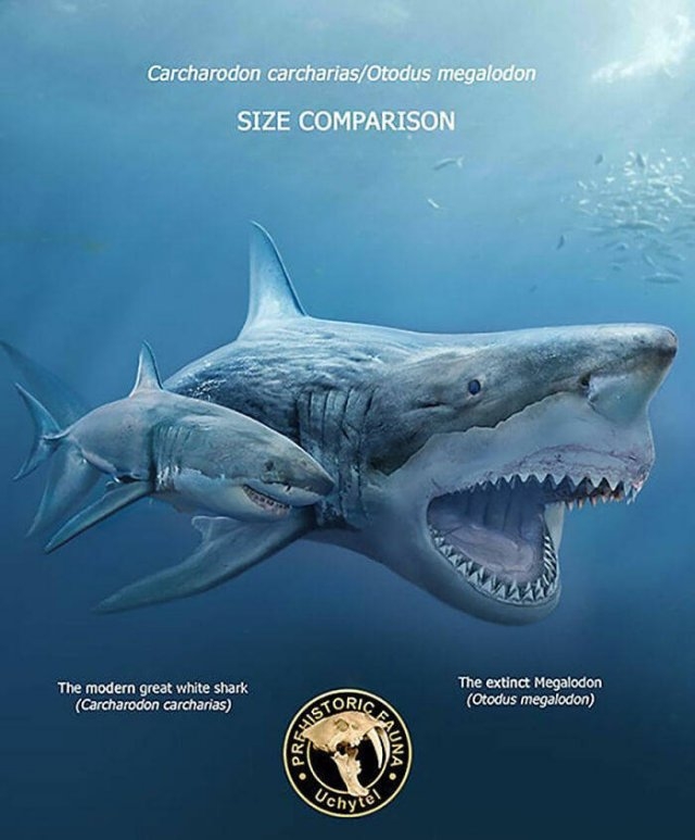 prehistoricsizecomparison_009