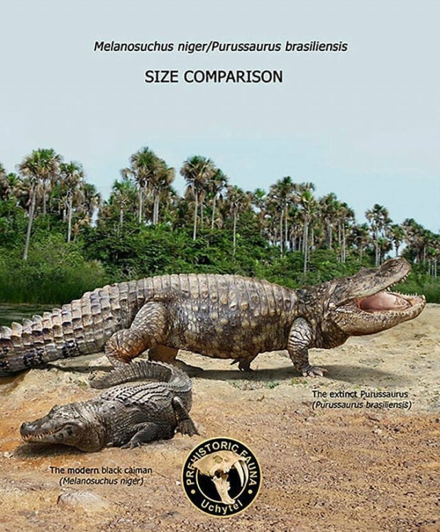 prehistoricsizecomparison_010