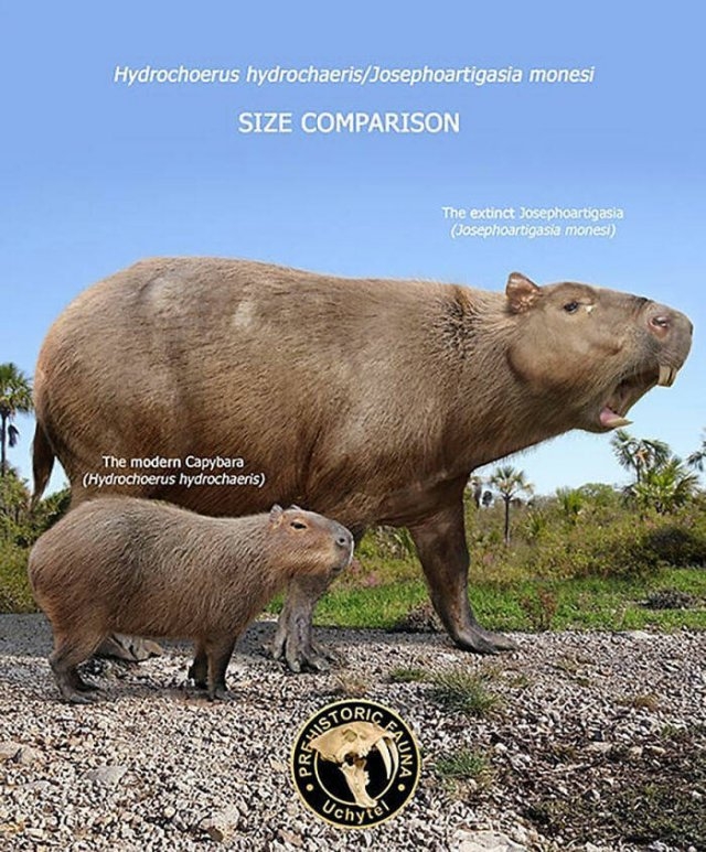 prehistoricsizecomparison_011