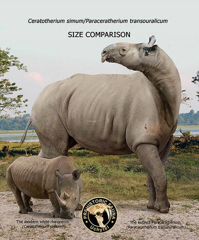 prehistoricsizecomparison_012