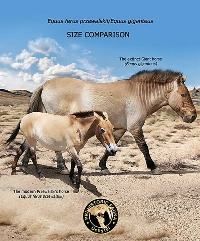 prehistoricsizecomparison_013