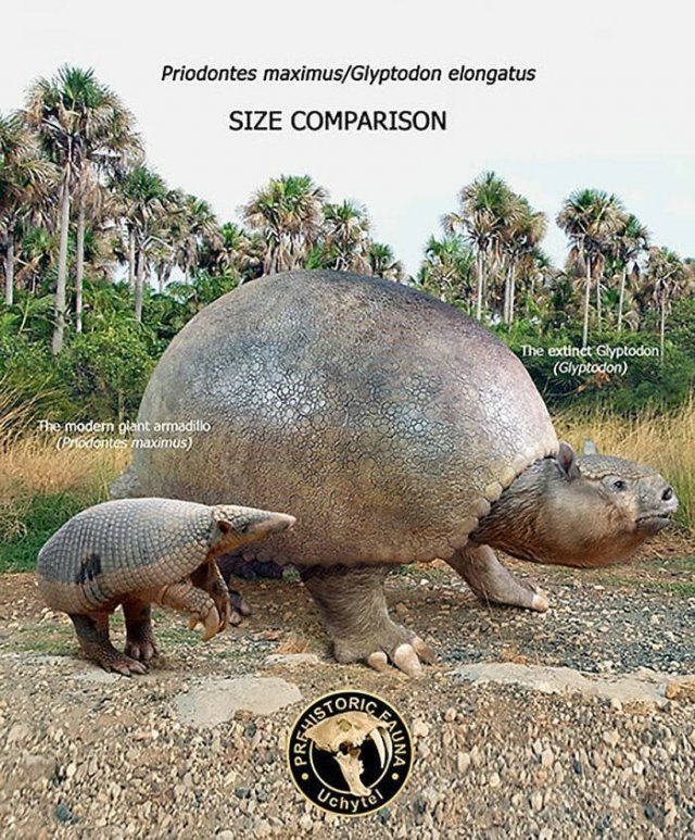 prehistoricsizecomparison_015
