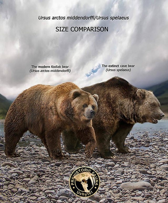 prehistoricsizecomparison_017