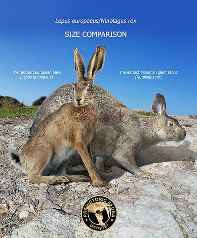 prehistoricsizecomparison_018