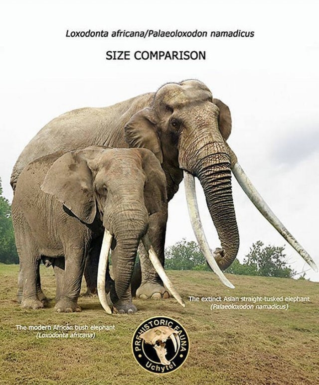prehistoricsizecomparison_019